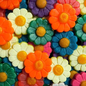 The Flower Patch x6